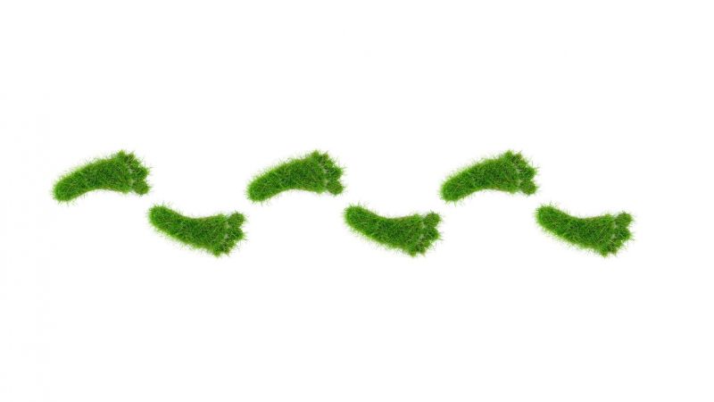 Symbolbild für den sogenannten ökologischen Fußabdruck: Fußspuren aus grünem Gras