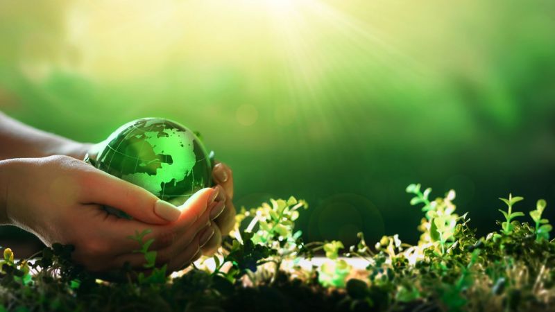 Grüne Weltkugel liegt in einer Hand