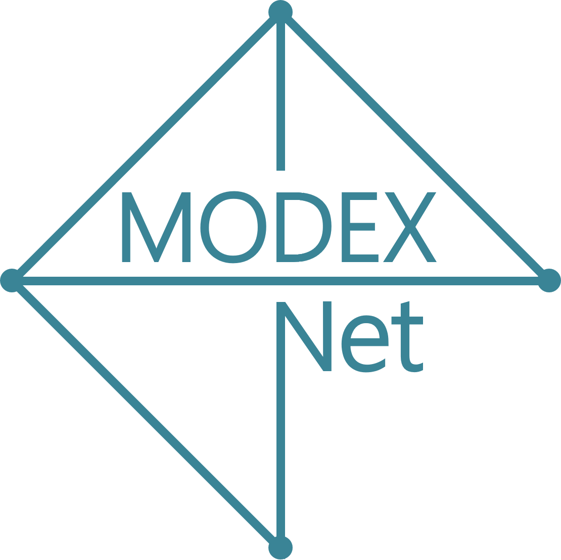 Logo Modex Net