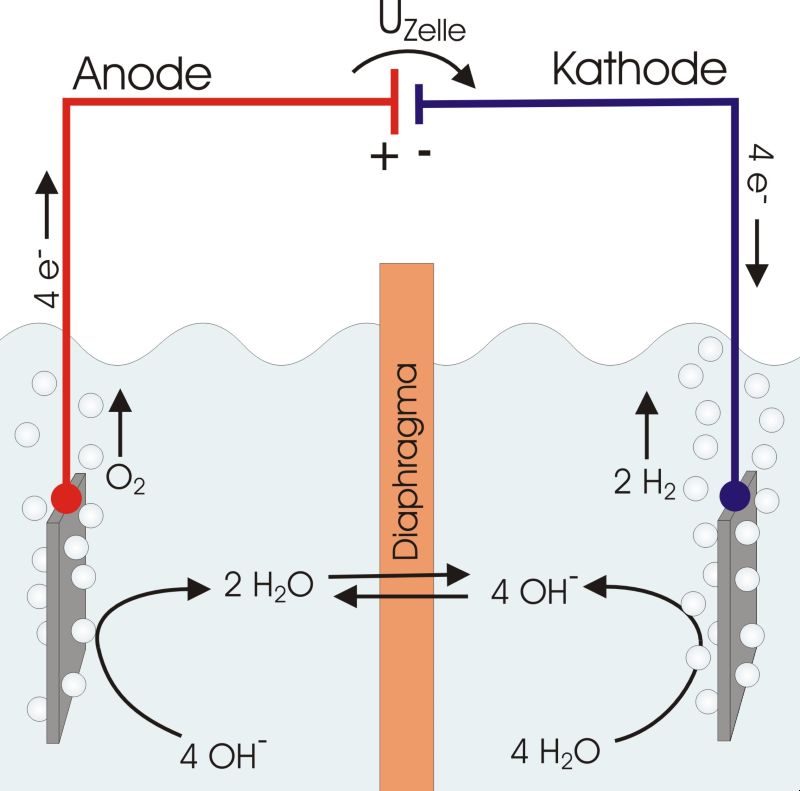 Während der alkalischen Elektrolyse entsteht an der Kathode Wasserstoff und an der Anode Sauerstoff (schematische Darstellung der herkömmlichen AEL).